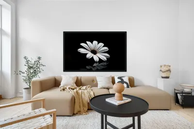 Whisper Bloom – Minimalist Daisy on Black Print Reproduction