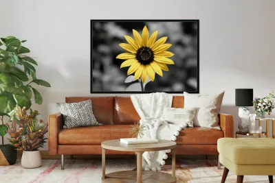 Golden Solitude – Single Yellow Daisy Print Reproduction