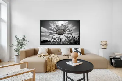 Summer’s Echo – Black and White Sunflower Field Print Reproduction