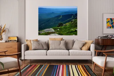 White Mountains 2 Reproduction