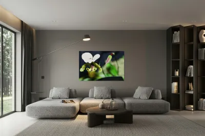 Green Orchid Reproduction