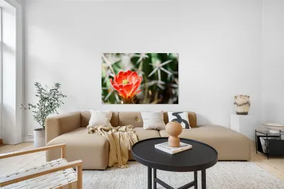 Red Cacti 3 Reproduction