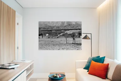 Horse Stretch Reproduction