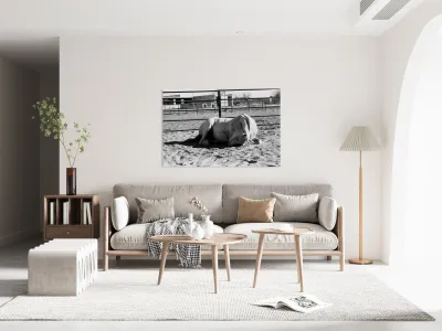 Magnificent Horse Pose 2 Reproduction