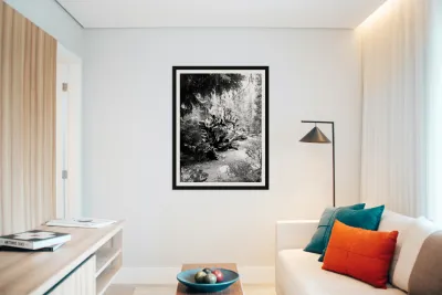 Sequoia Root Wad Reproduction