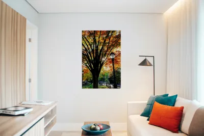 A Stroll in Color Reproduction