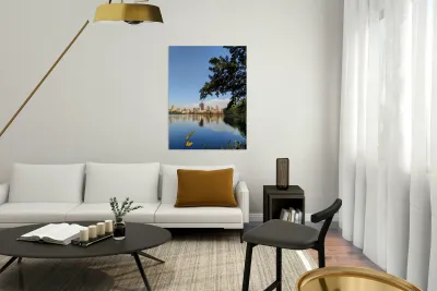 Framed Reflections – Central Park Reproduction