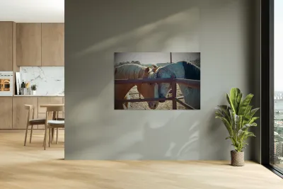 Horse Embrace  Reproduction