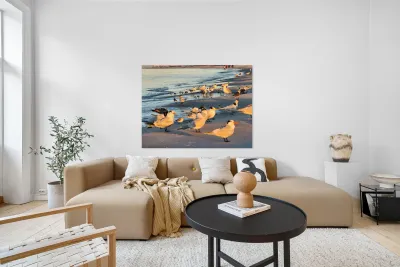 Gulls & Terns Reproduction