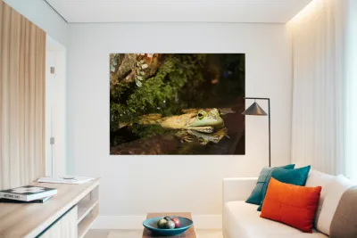 Bull Frog Reproduction