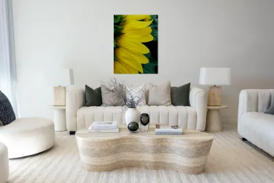 Sunflower Portrait 1 Reproduction