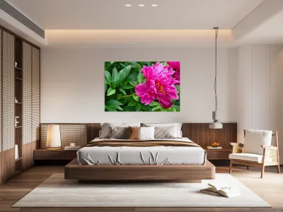 PInk Peony Reproduction