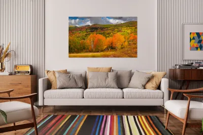 Some Things Always Change Reproduction