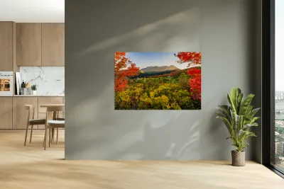 Color All Around Reproduction