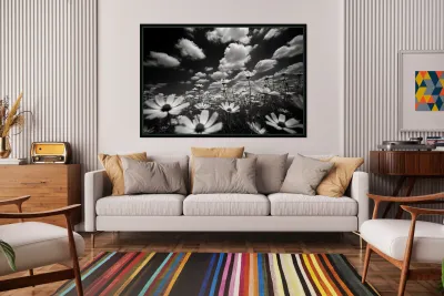 Whispers of the Sky – Monochrome Daisy Field Print Reproduction