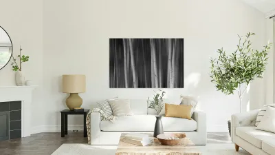 Aspen Trees Dreaming Black and White Abstract Reproduction