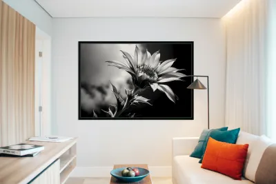 Sunflower Monochrome – Black & White Botanical Study Reproduction