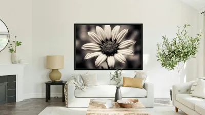 Blind Eyed – Monochrome Daisy Macro Art Print Reproduction