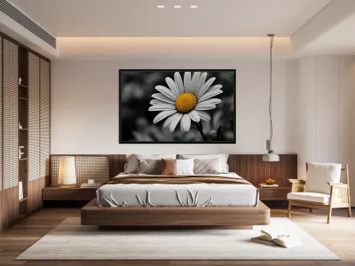 Serendipitous – Dew-Kissed Daisy Monochrome Art Print Reproduction