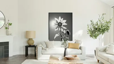 SPF - Sunlit Sunflower Monochrome Art Print Reproduction