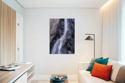 Yosemite National Park CA. Reproduction