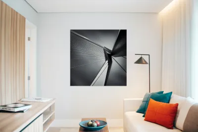 Erasmusbrug Reproduction