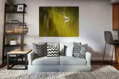 Great blue heron standing in calm water in Atchafalaya basin Reproduction