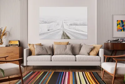 Snow Day Reproduction