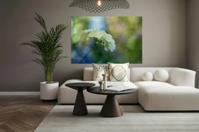 Dreamy State 2 Reproduction