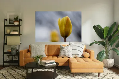 Yellow Whisperings Reproduction