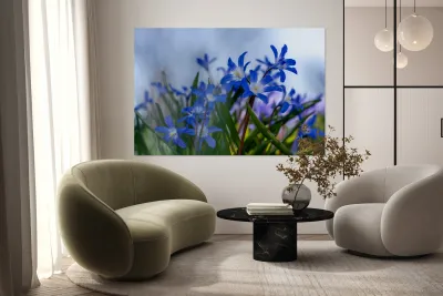 Little Blue Bulbs Reproduction