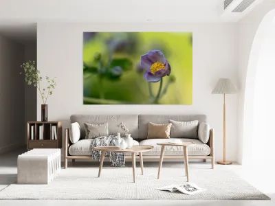 Looking Forward Reproduction