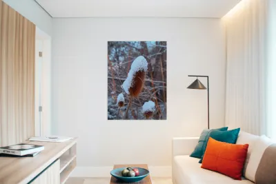 Thorny Lollipop Winter Thistle  Reproduction