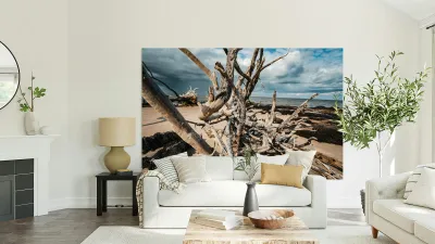 Sunlit Resilience Reproduction