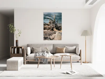 Storms Peaceful Prelude Reproduction