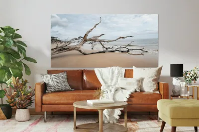 Whispers of Serenity Reproduction