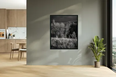 Mueller Aspen Series: Twilight Whispers Reproduction