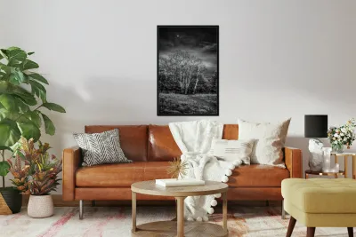 Mueller Aspen Series: Aspen Moon Reproduction