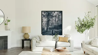 Mount Rushmore: Path Below the Monument in Infrared Magic Reproduction