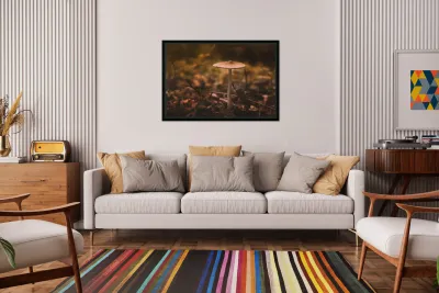 Mystical Fungi: Pale Amidst Sun-Dappled Leaves Reproduction