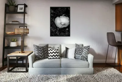 Montana Ranch Shroom: Prairie Path Fungus Reproduction