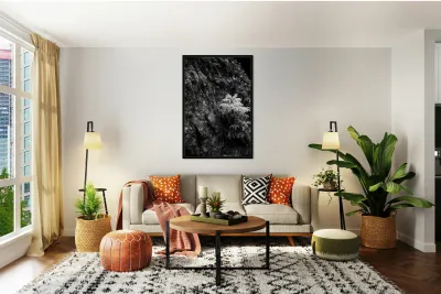 Exploring Sylvan Lake: Small Pine on a Rock Reproduction