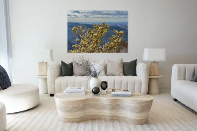 Eastern White Pine covered with snow at Coopers Rock Reproduction