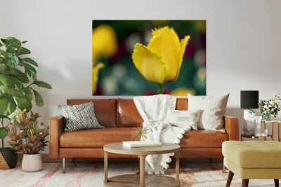 Call Me Fabiola Reproduction