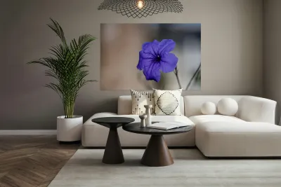 Call Me Violet Reproduction