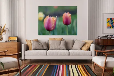 Eyecatching Ones Reproduction