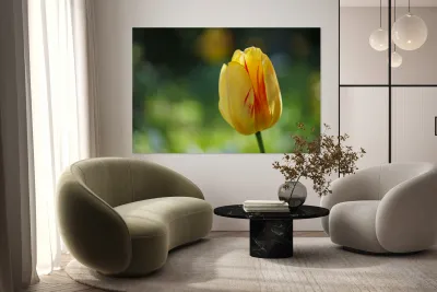 In the Foreground Reproduction