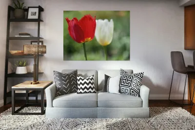 I Choose Red Reproduction