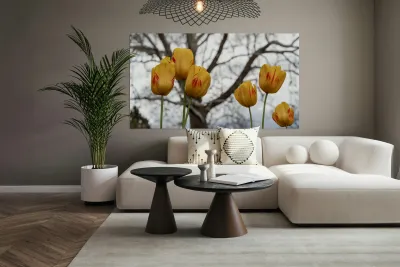 Beautiful Nature Reproduction