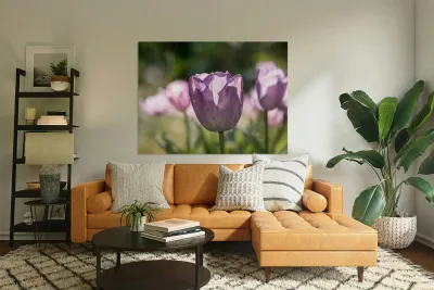 Quite a Beauty Reproduction